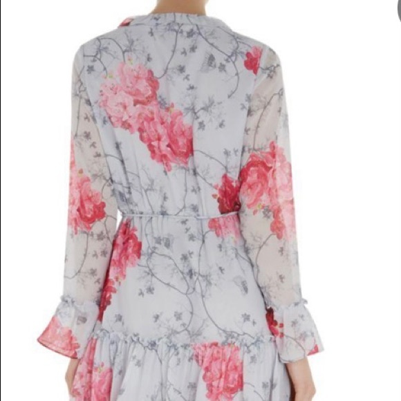 TED BAKER - Eriin Babylon Ruffle Dress - Picture 9 of 15